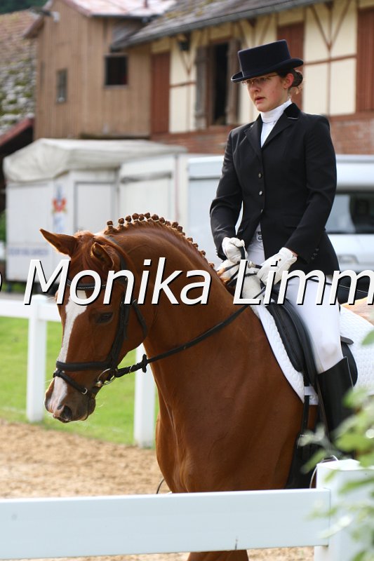 006M3388_Dressur L.JPG